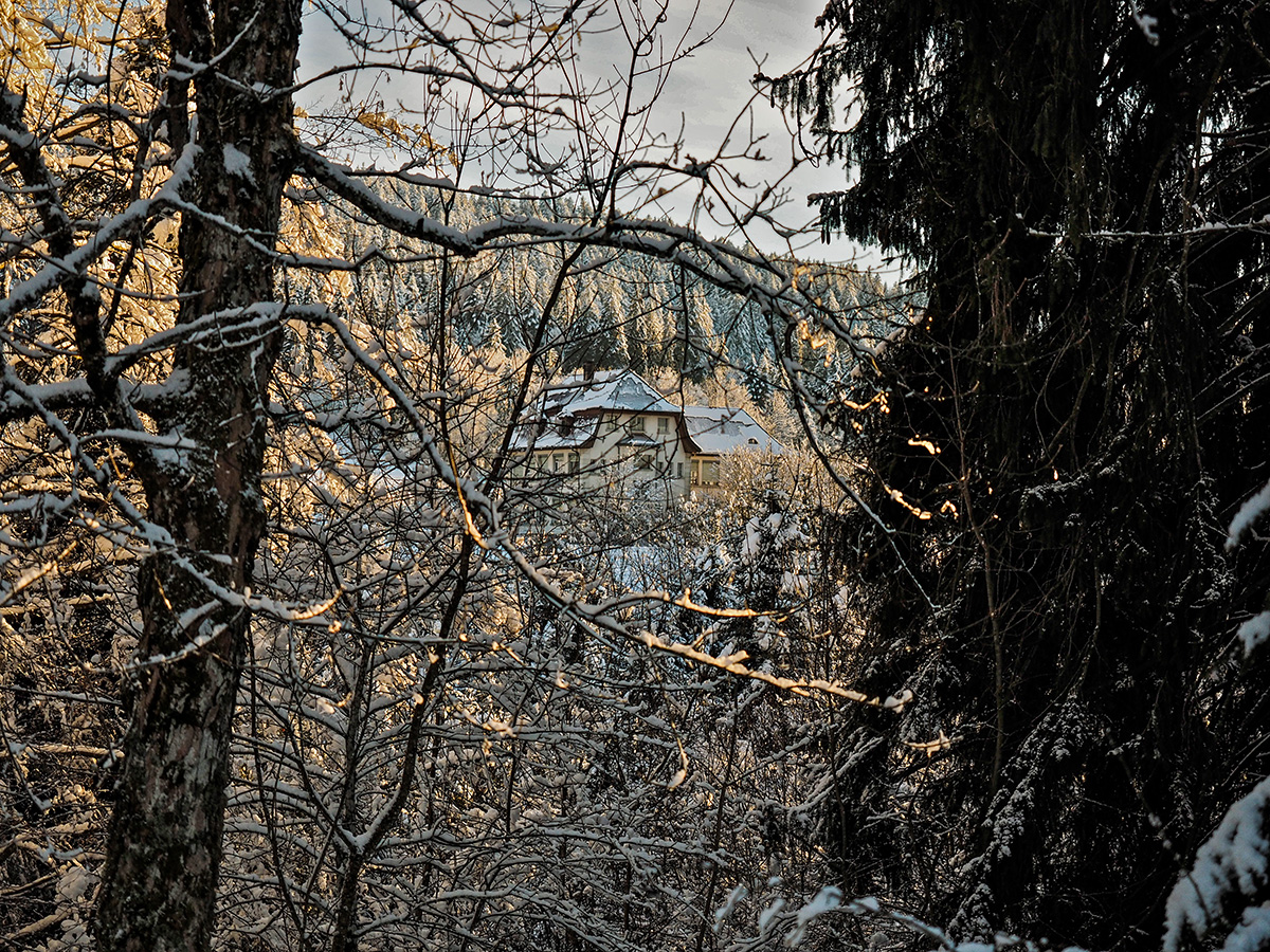 _1180108-Edit.jpg