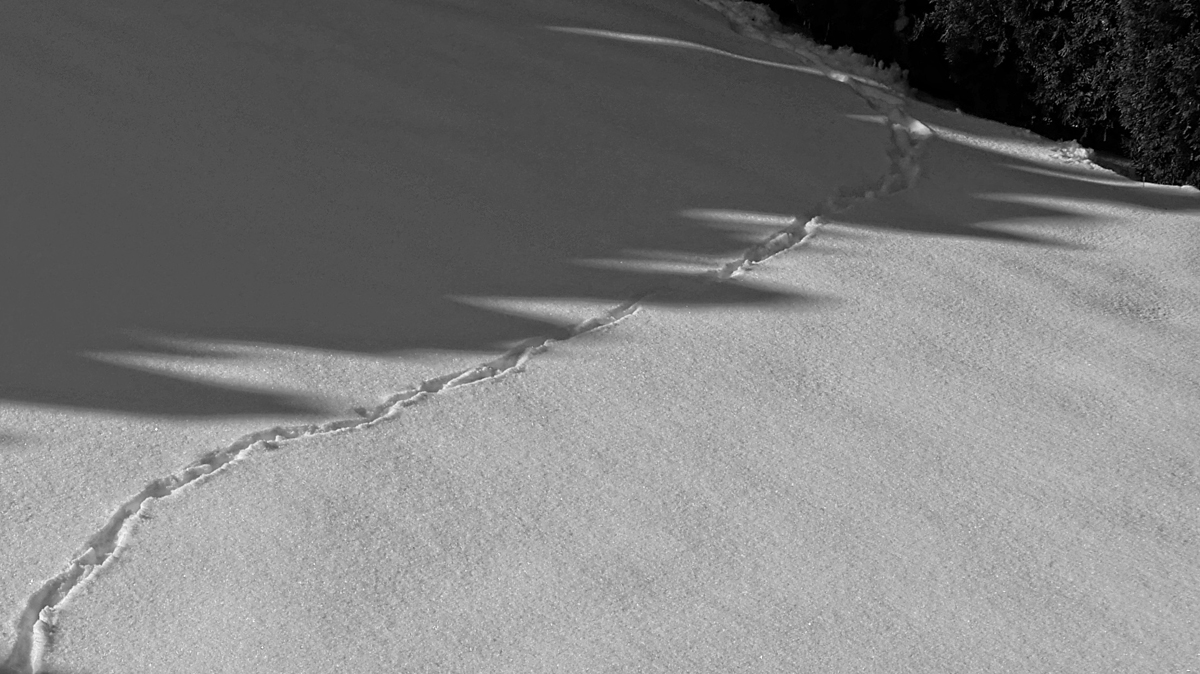_1220581A-SWxl.jpg