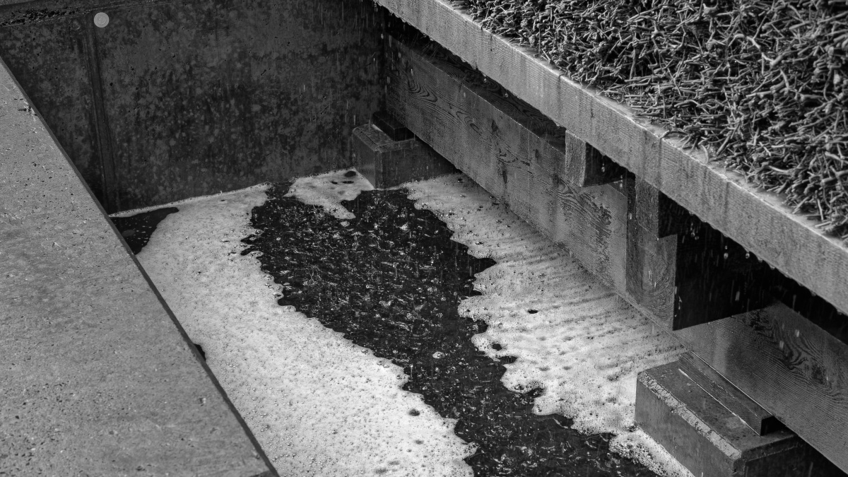 _1230125_DxOPxl_SW_1.jpg