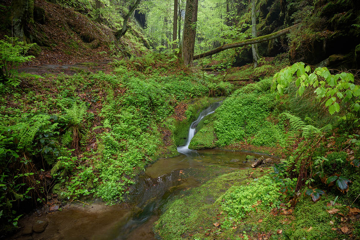 _2AG0653.jpg