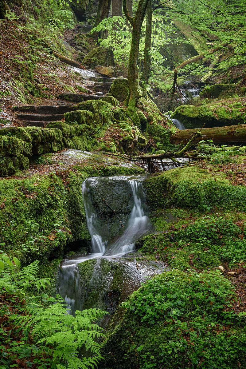 _2AG0658.jpg