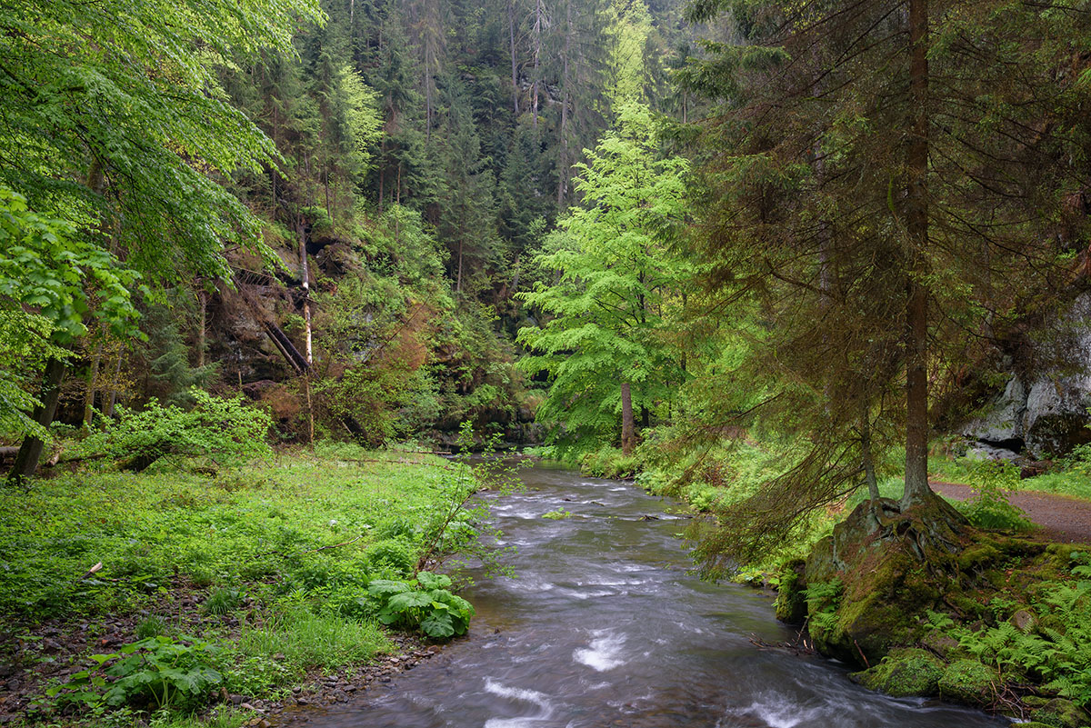 _2AG0688.jpg