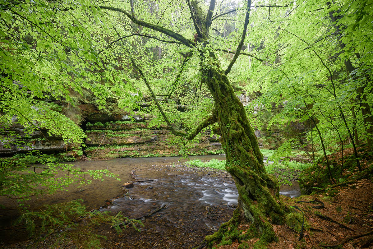 _2AG0690.jpg