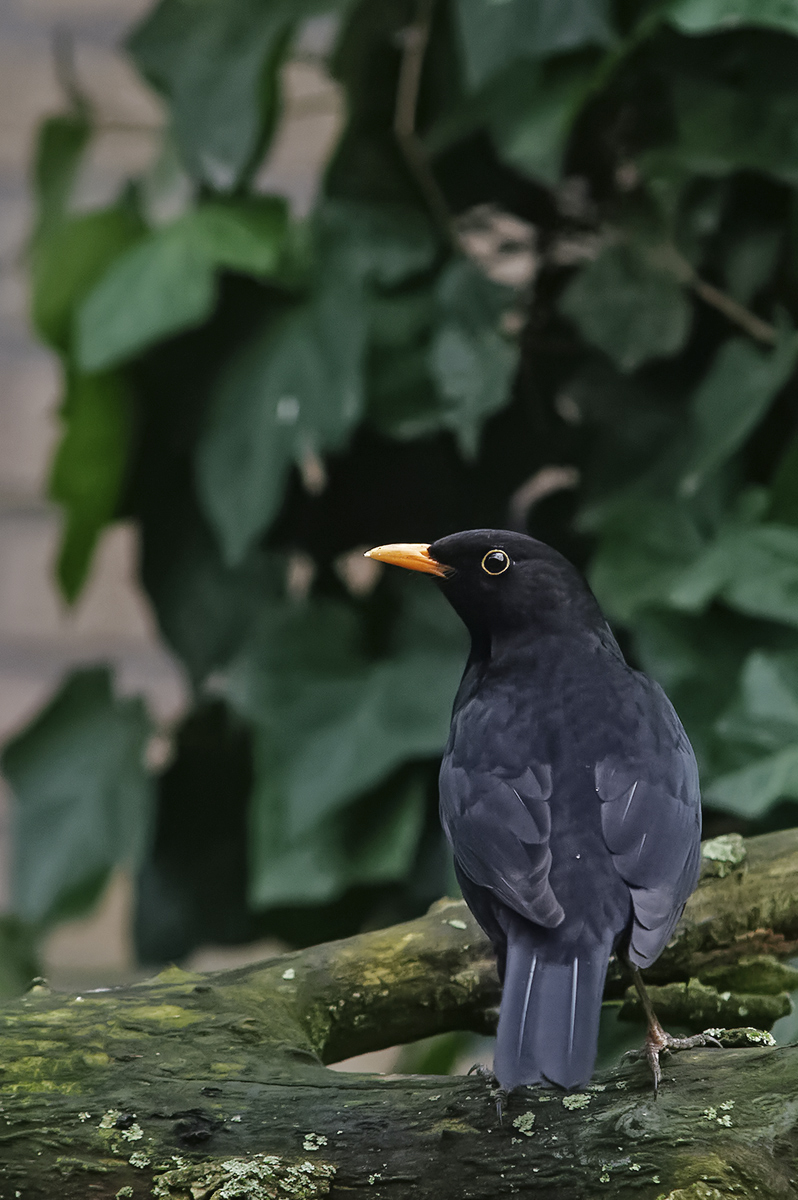 _3006583_Dxo_Hxl.jpg