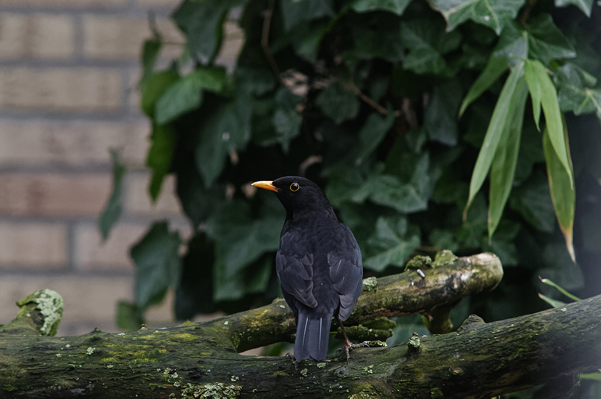 _3006583_Dxo_xl.jpg