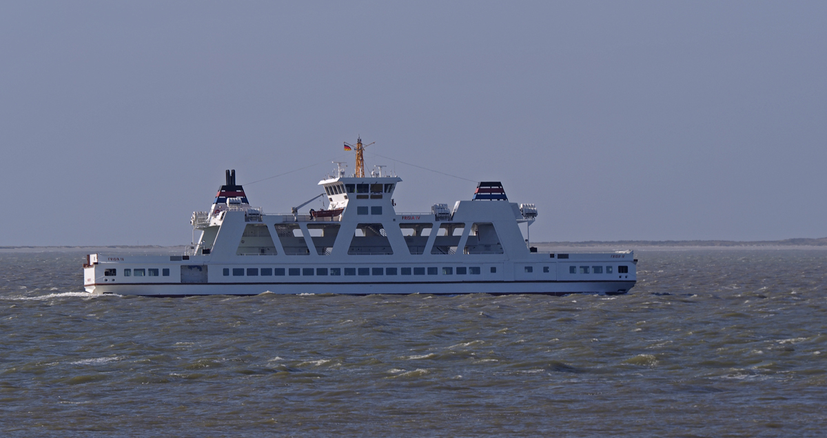 _3141038Pxl.jpg