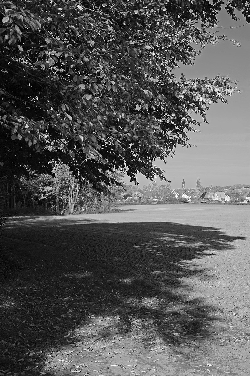 _7006159Ksw_xl.jpg