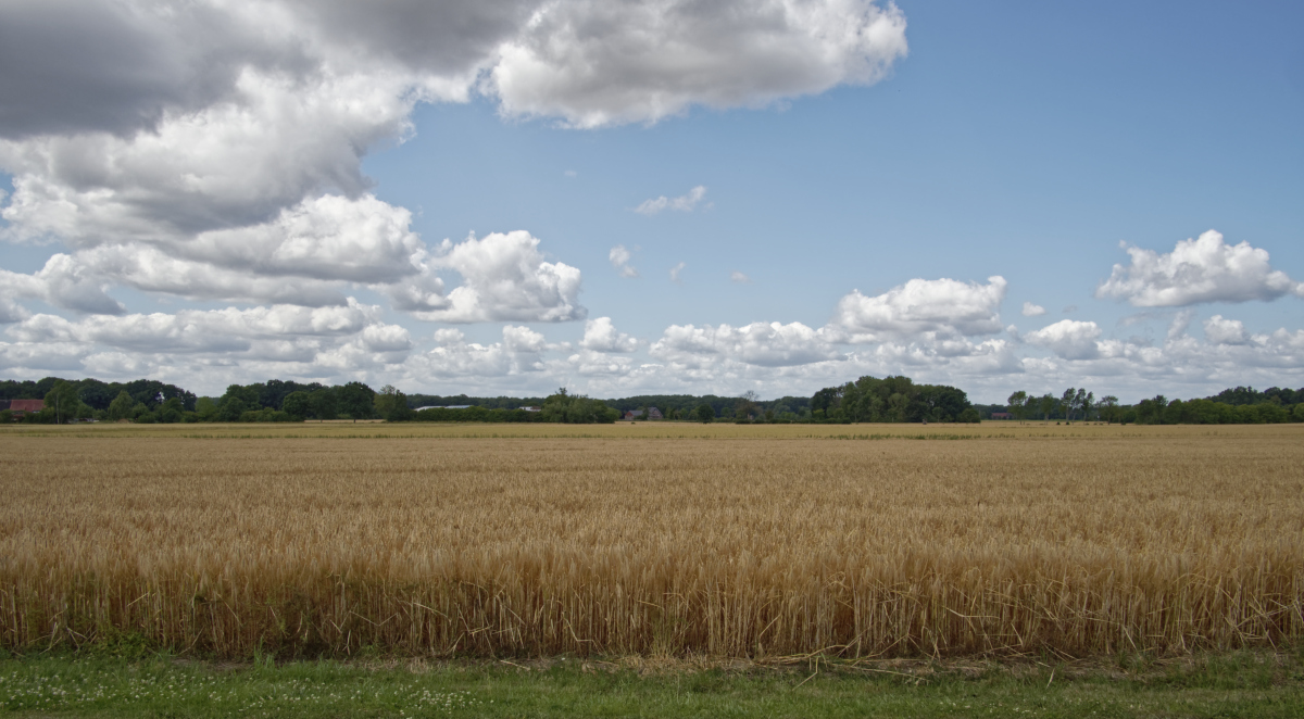 _7030093_DxOPAxl.jpg