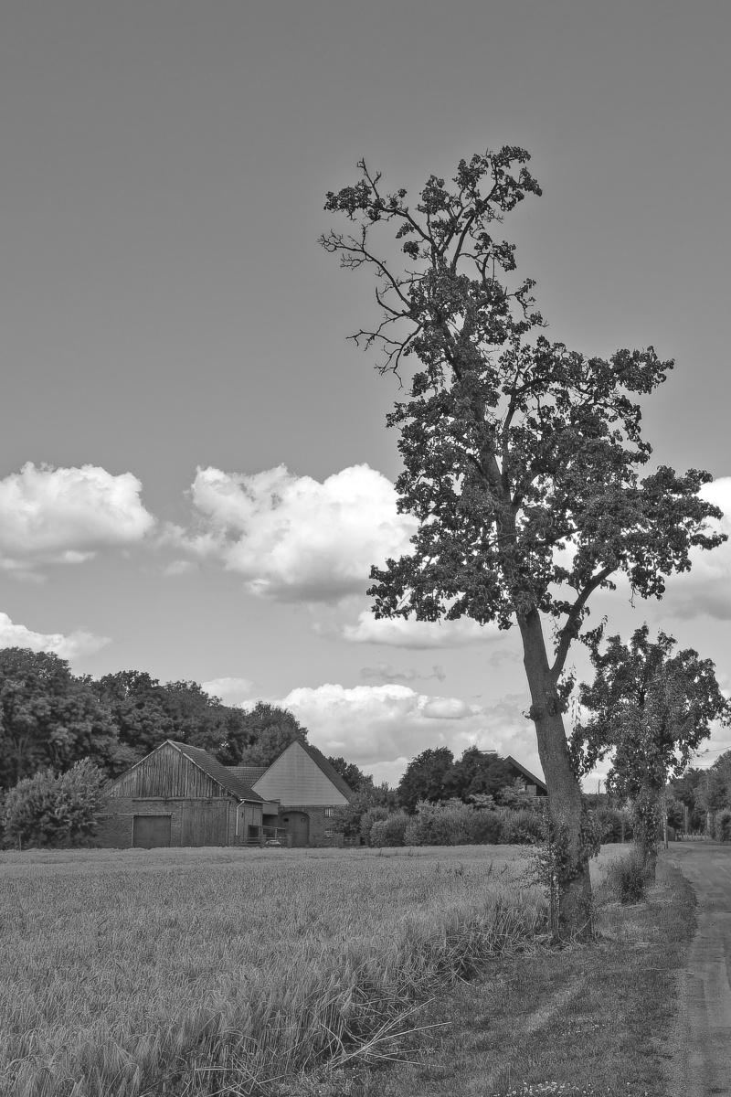 _7030103_DxOPASWxl_1.jpg