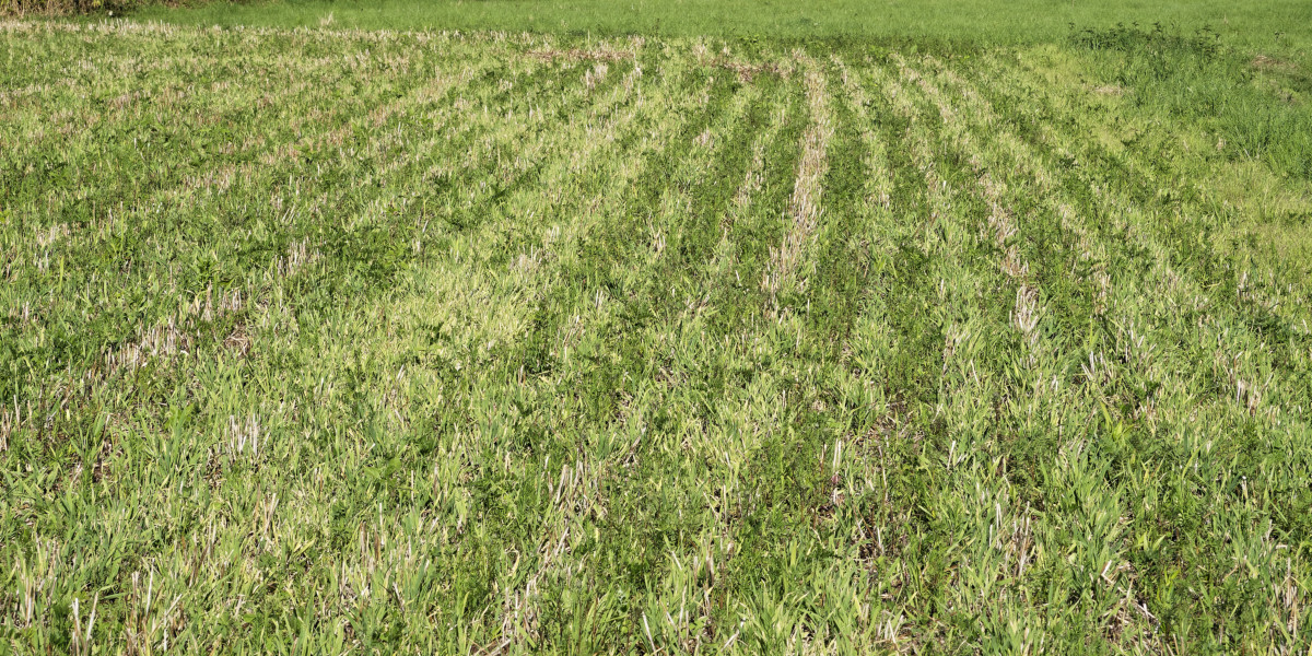full