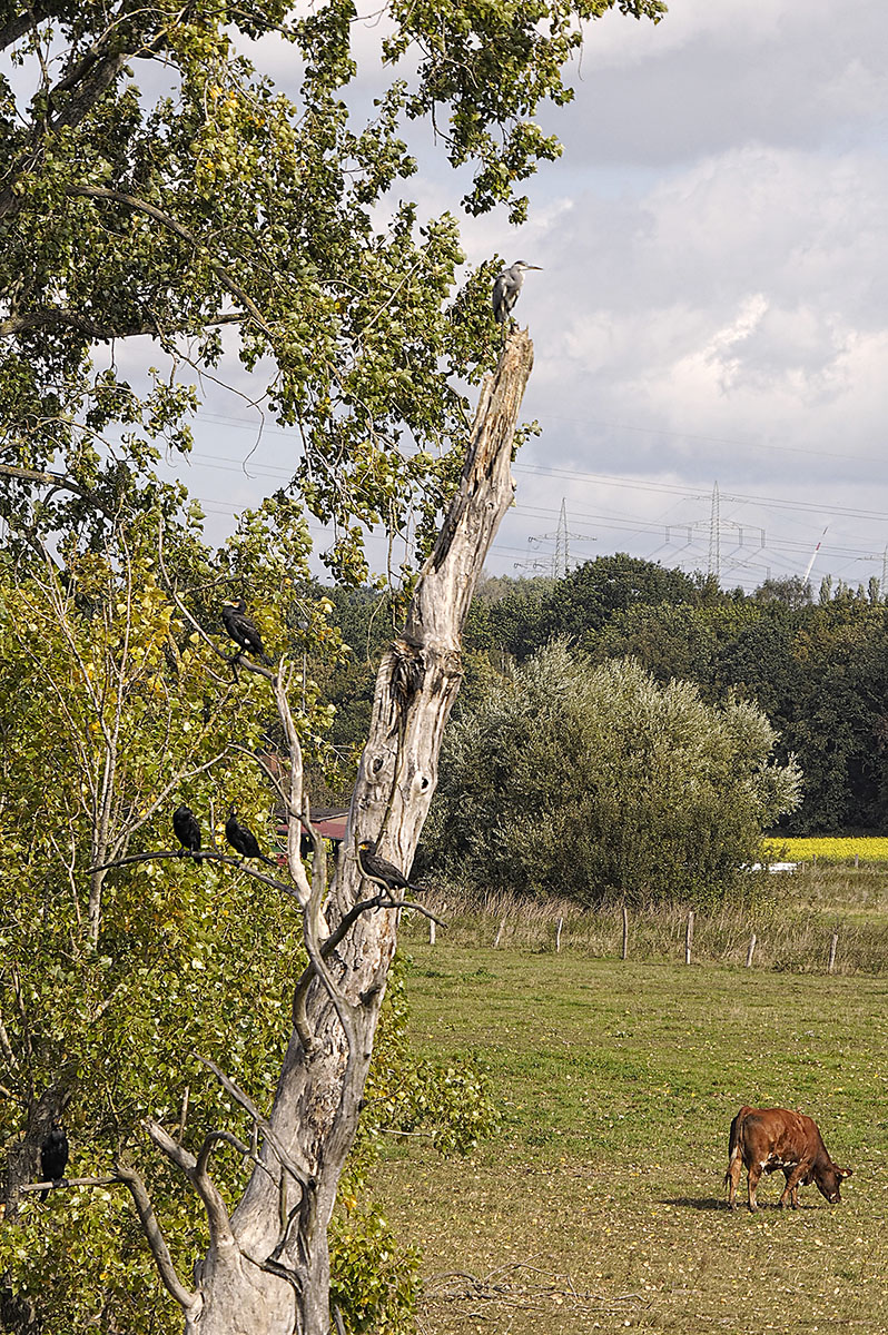 _9240177KAxl.jpg