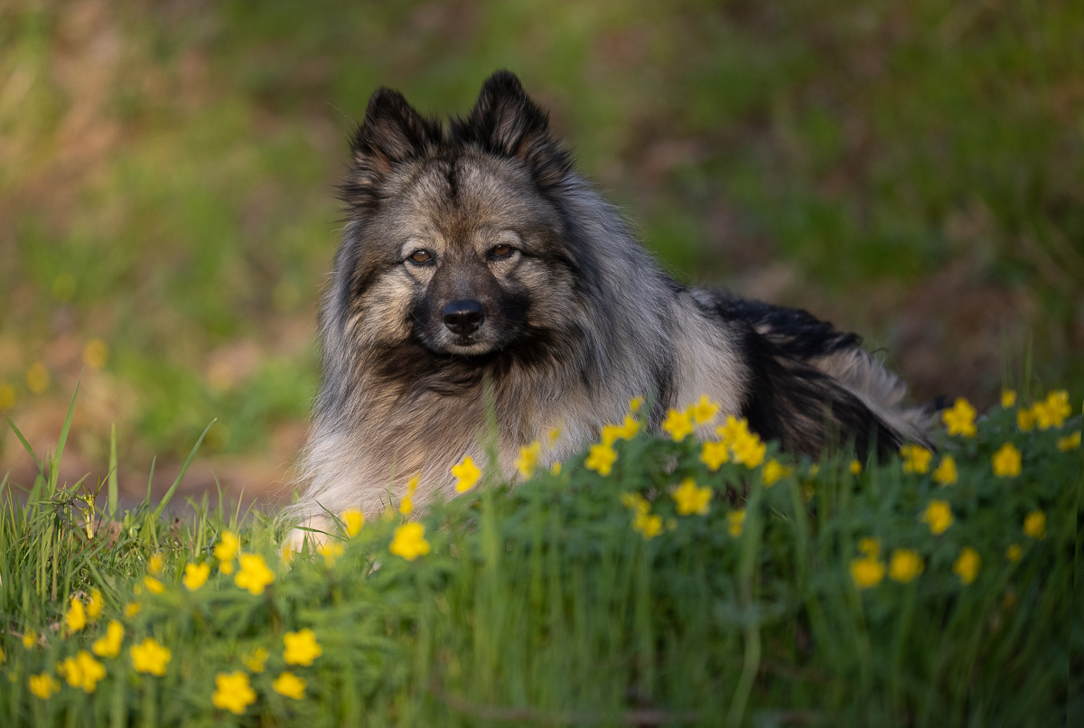_CH91274-Bearbeitet-1.jpg