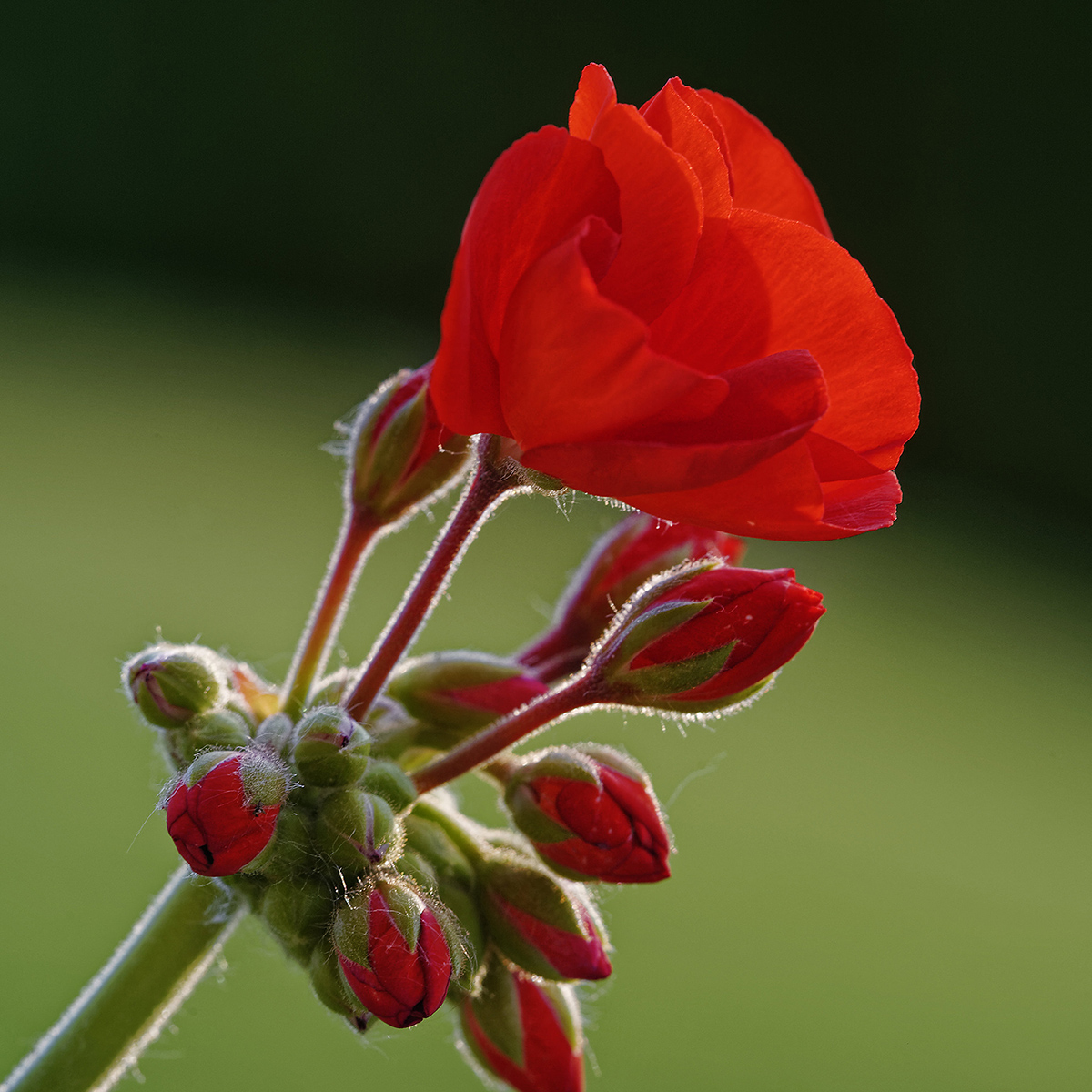 _D3S3149_DxoQxl.jpg