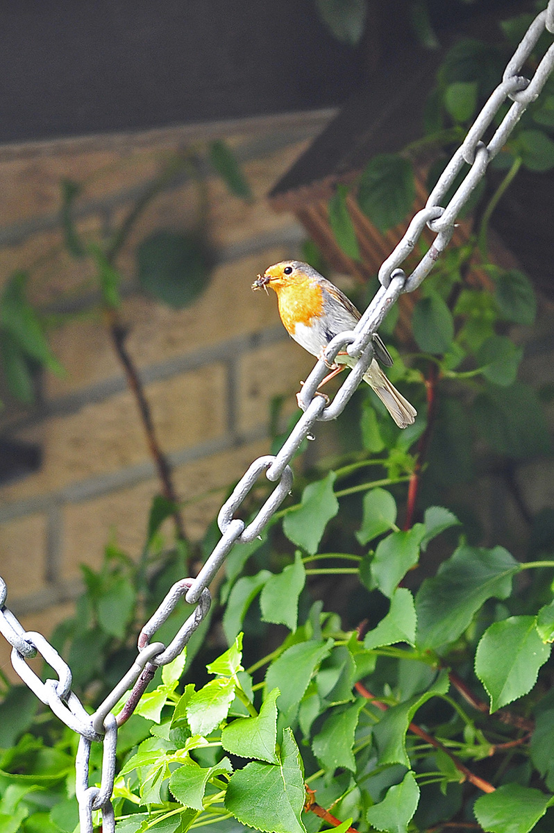 _D3S3357HAxl.jpg