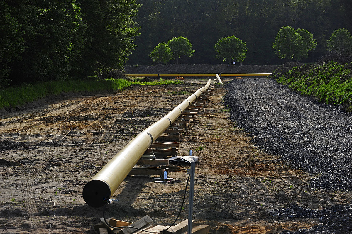 _D3S3382Kxl.jpg
