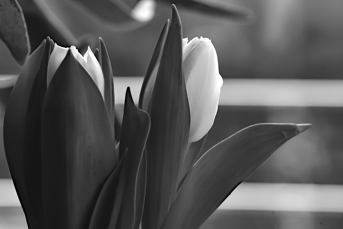 _D3S3857KRSWxl.jpg