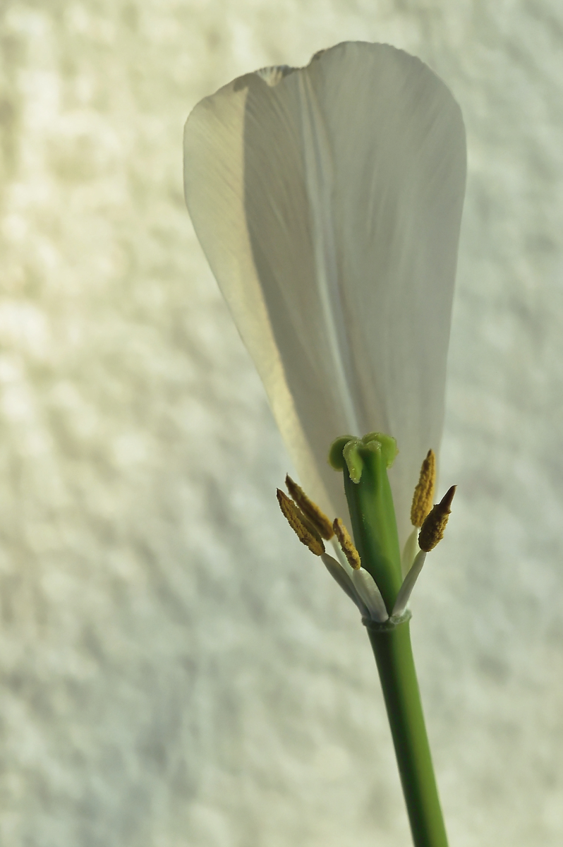 _D3S4061_DxOAxl.jpg