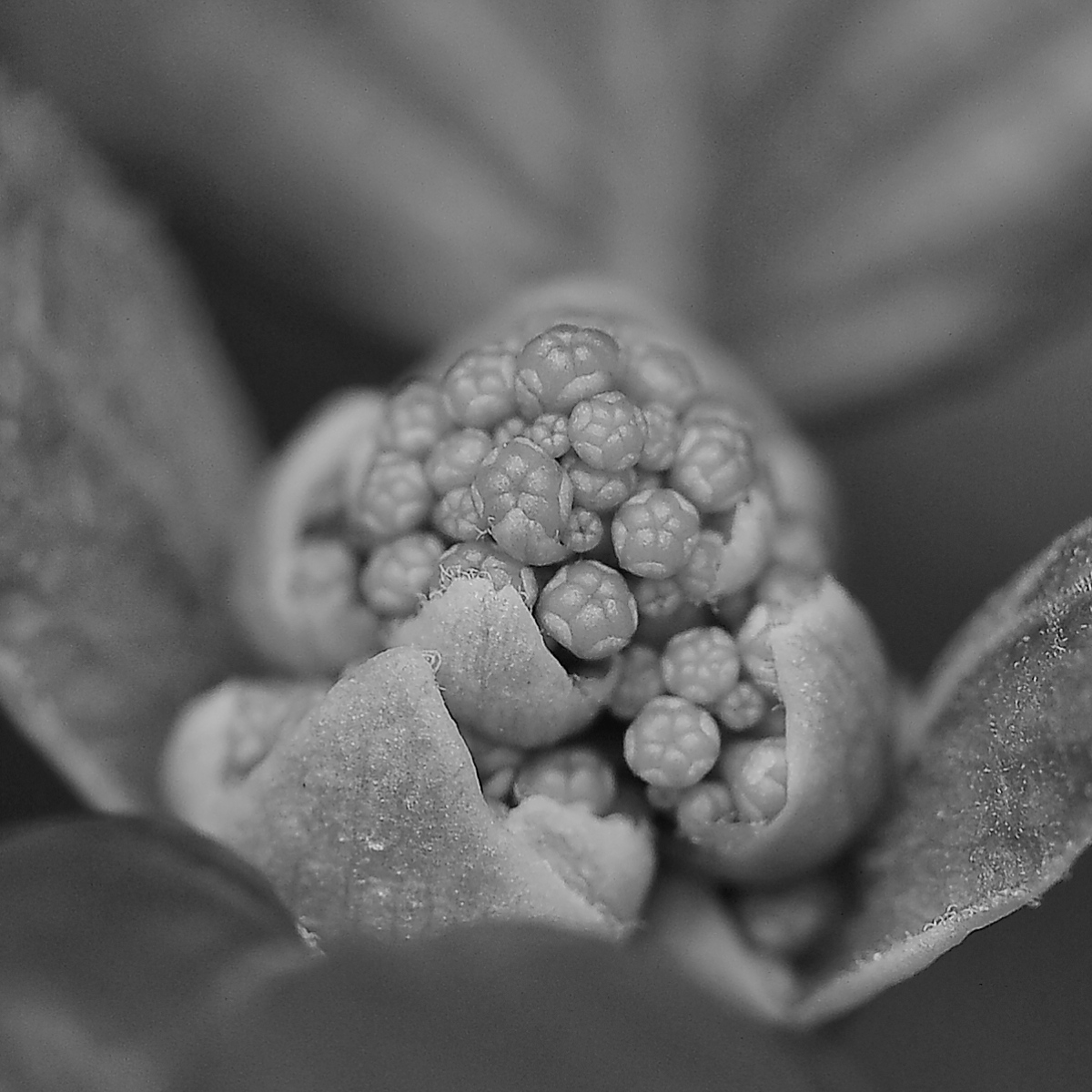 _D3S4064_DxOAAQxlSW.jpg