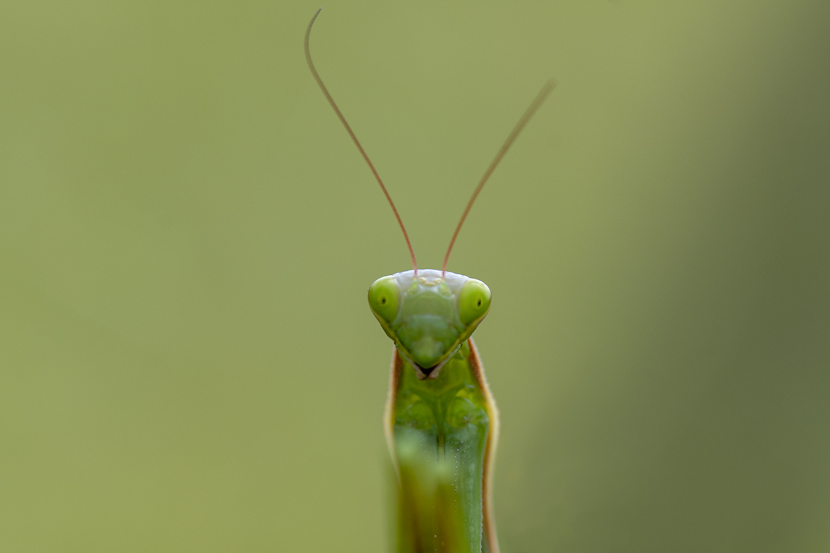 _D507852-n.jpg