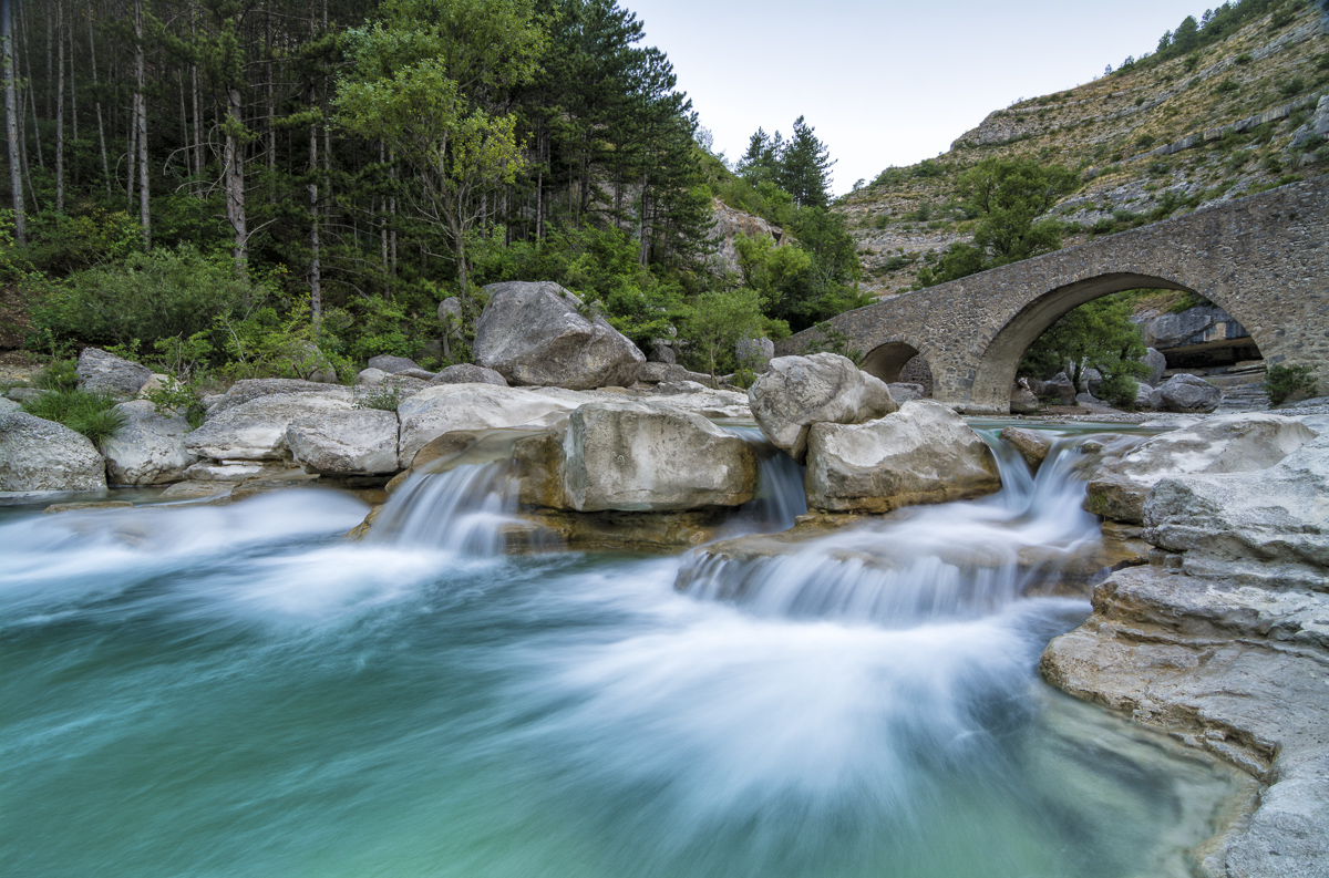 _D715167-Bearbeitet-2-Bearbeitet.jpg