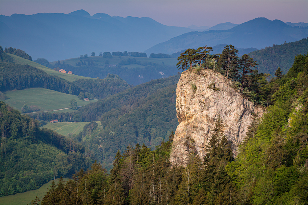 _D715944-DeNoiseAI-clear.jpg