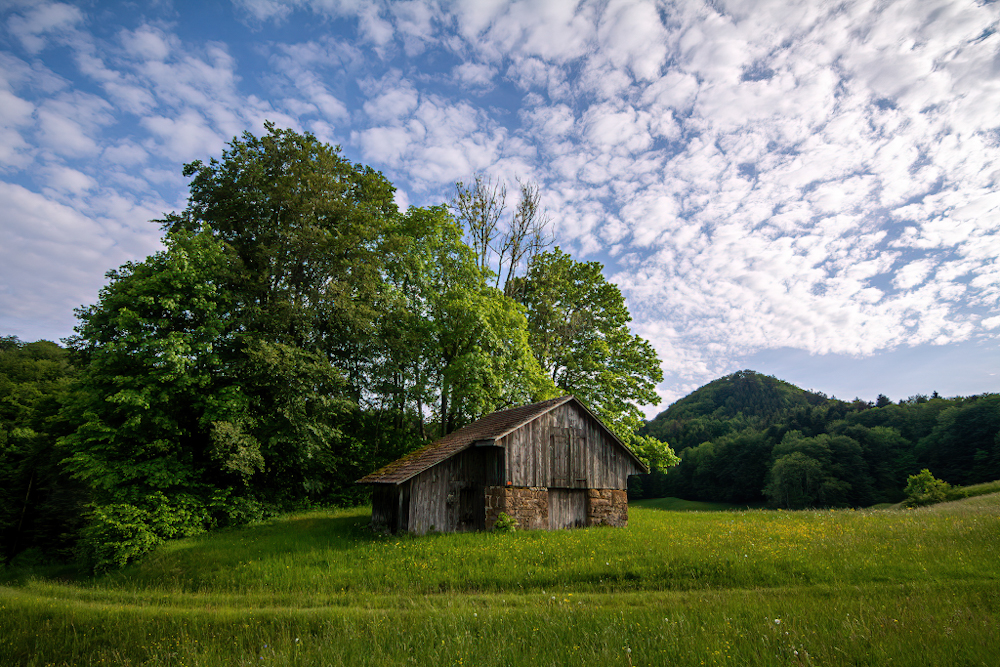 _D715965-DeNoiseAI-clear.jpg