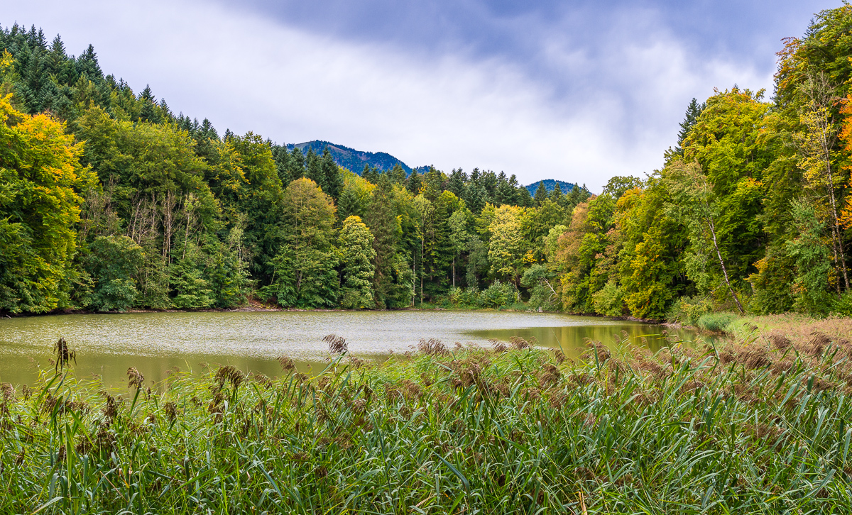 _D725035.jpg
