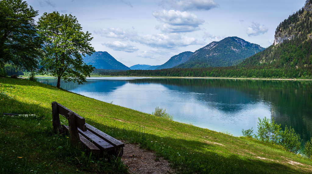 _D725291.jpg