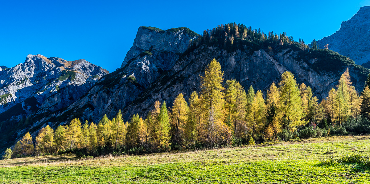 _D750074.jpg