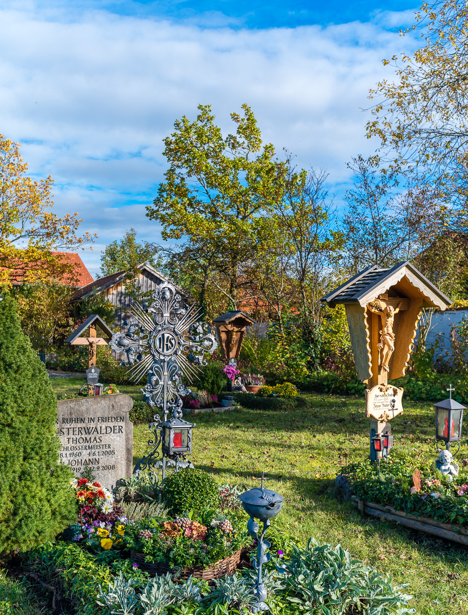 _D750319.jpg