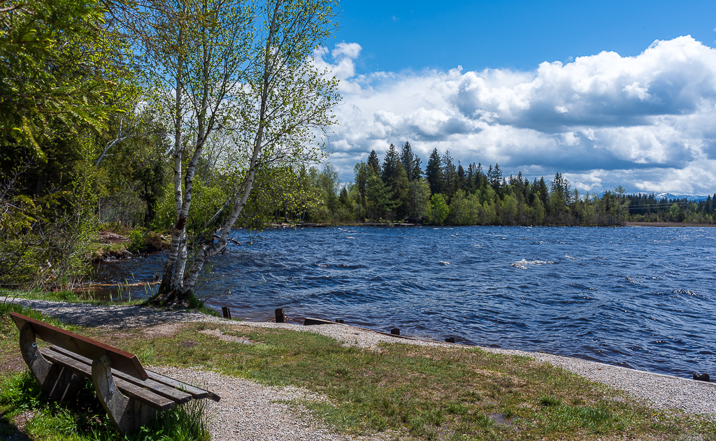_D751087.jpg