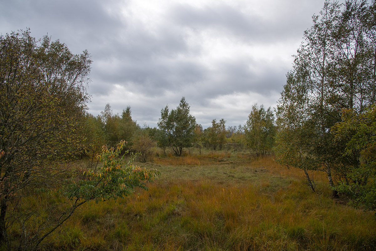 _D805801.jpg