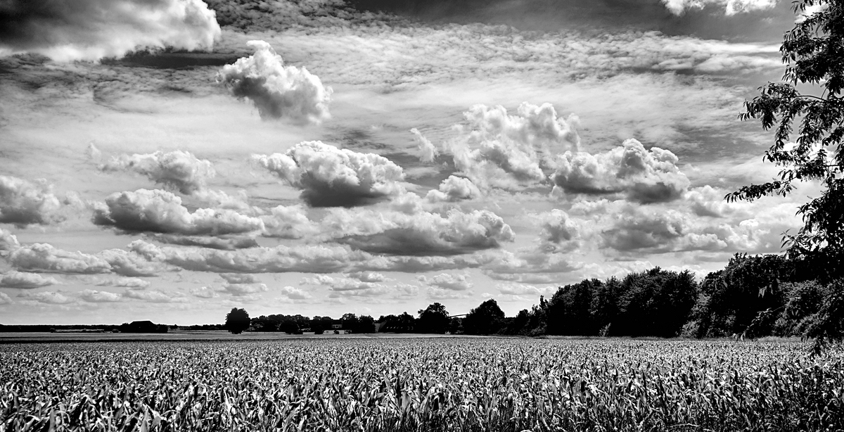 _Der Himmel wollt heut garnicht enden 2.jpg