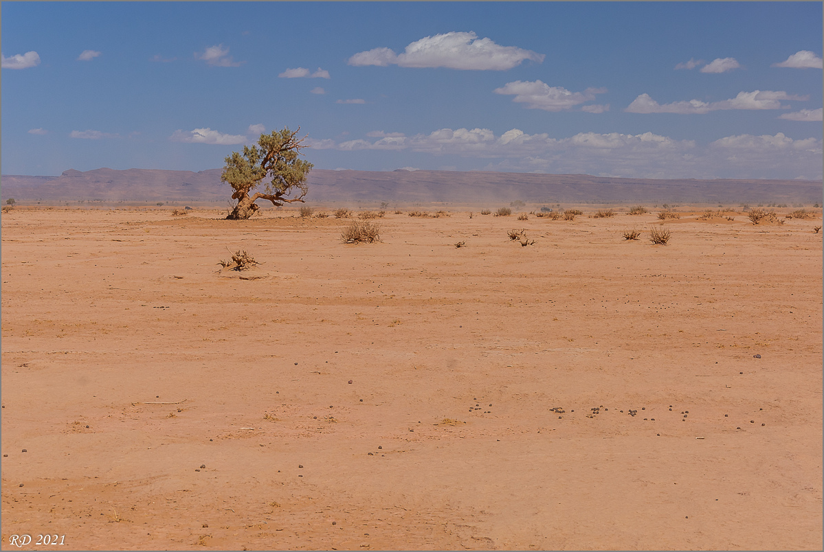 _DS24843.jpg