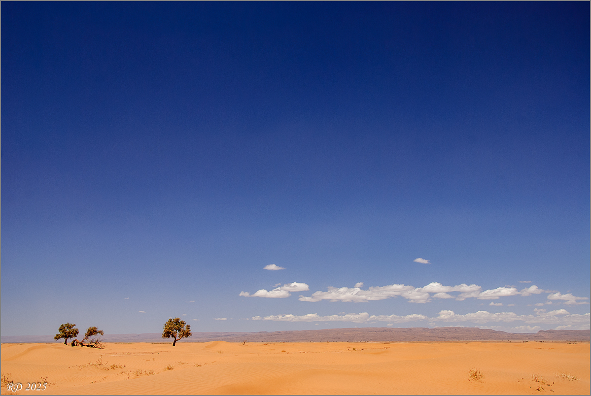 _DS24847.jpg