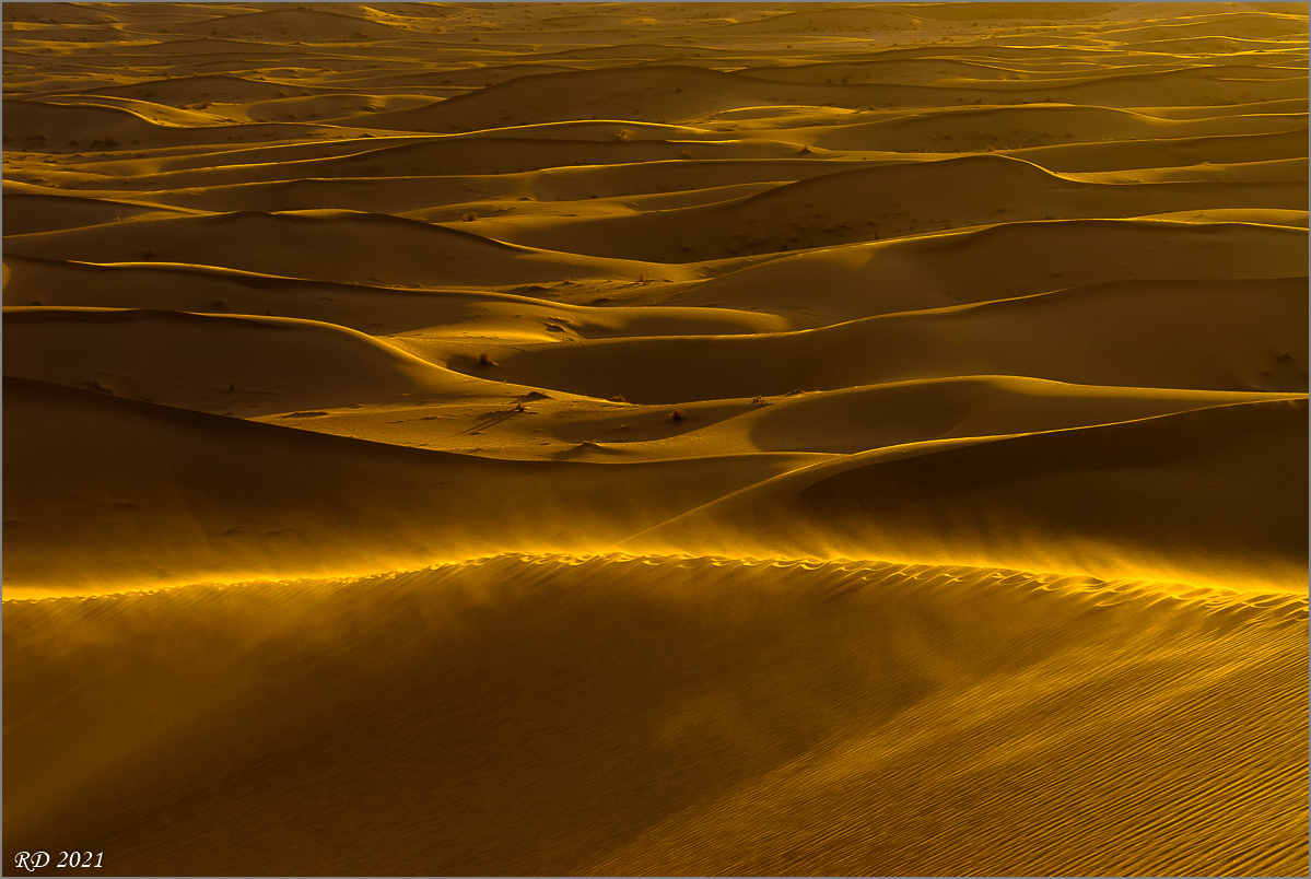 _DS25206.jpg