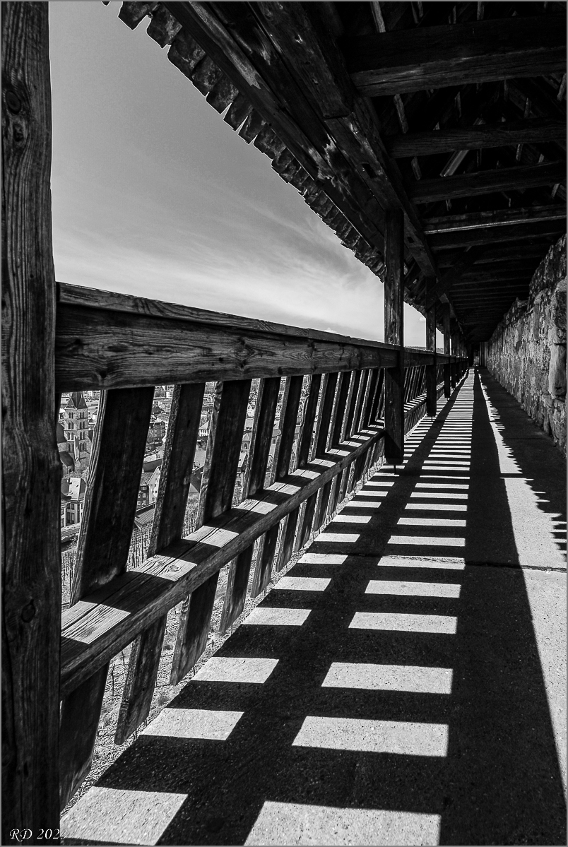 _DS26031.jpg