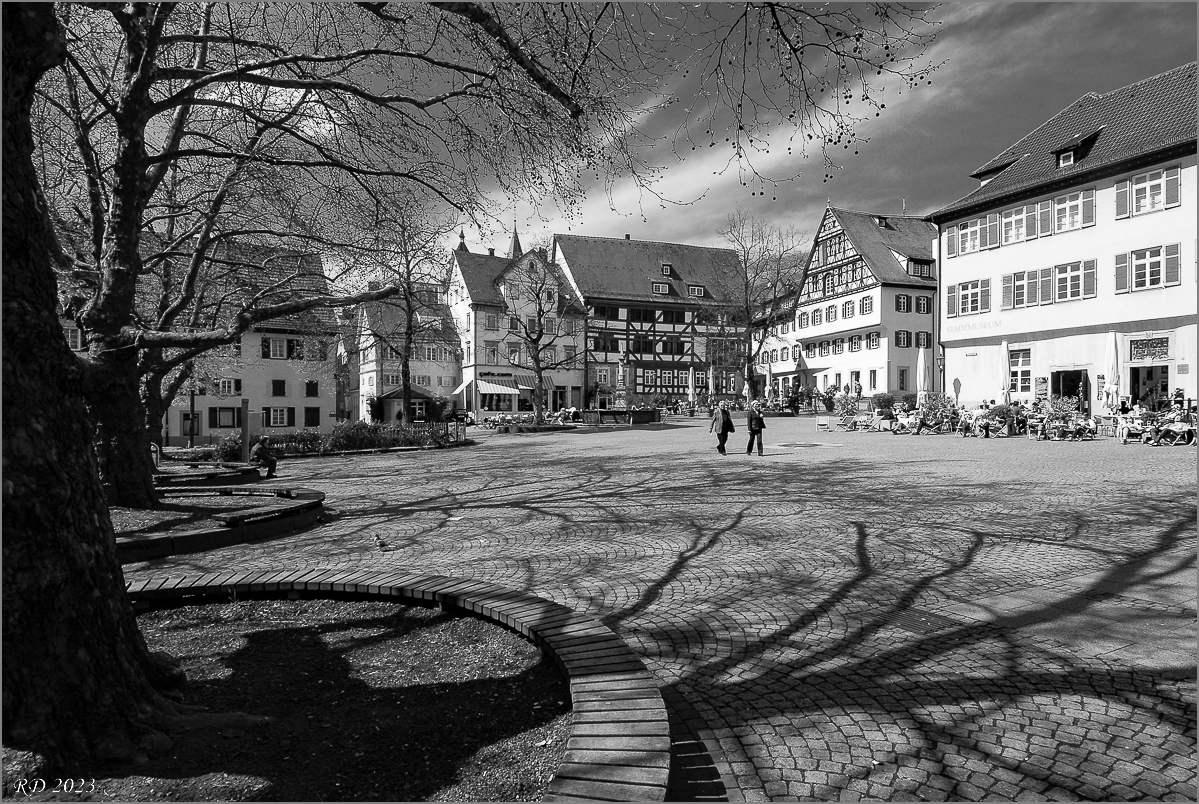 _DS26040.jpg