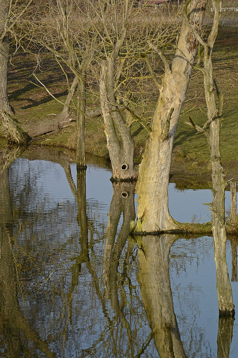 _DSC0053Kxl.jpg