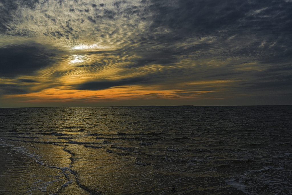 _DSC0081_nf.jpg