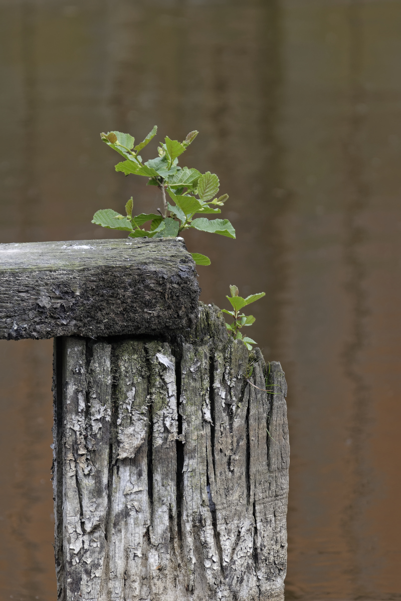 _DSC0456_DxOHAxl.jpg