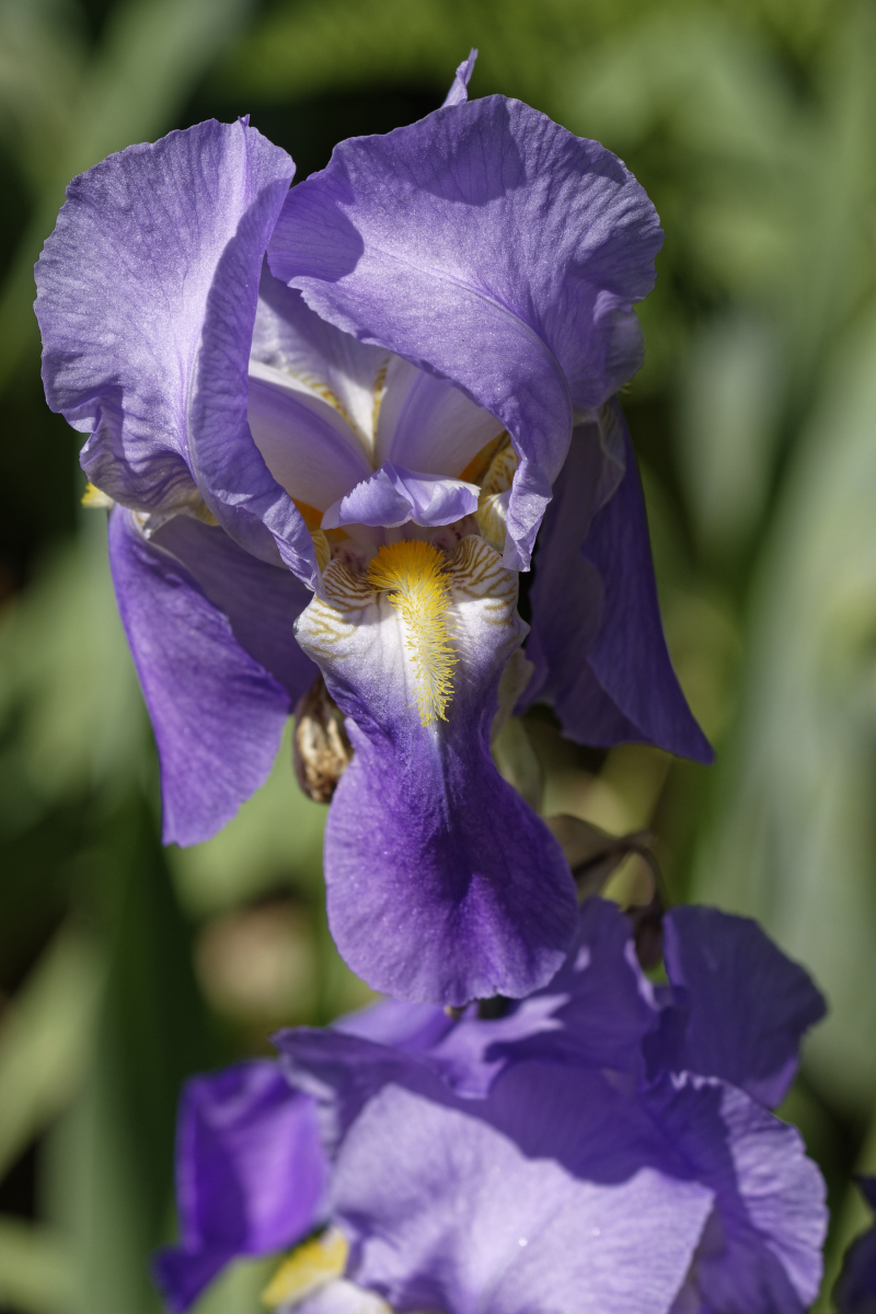 _DSC0493_DxOAxl.jpg