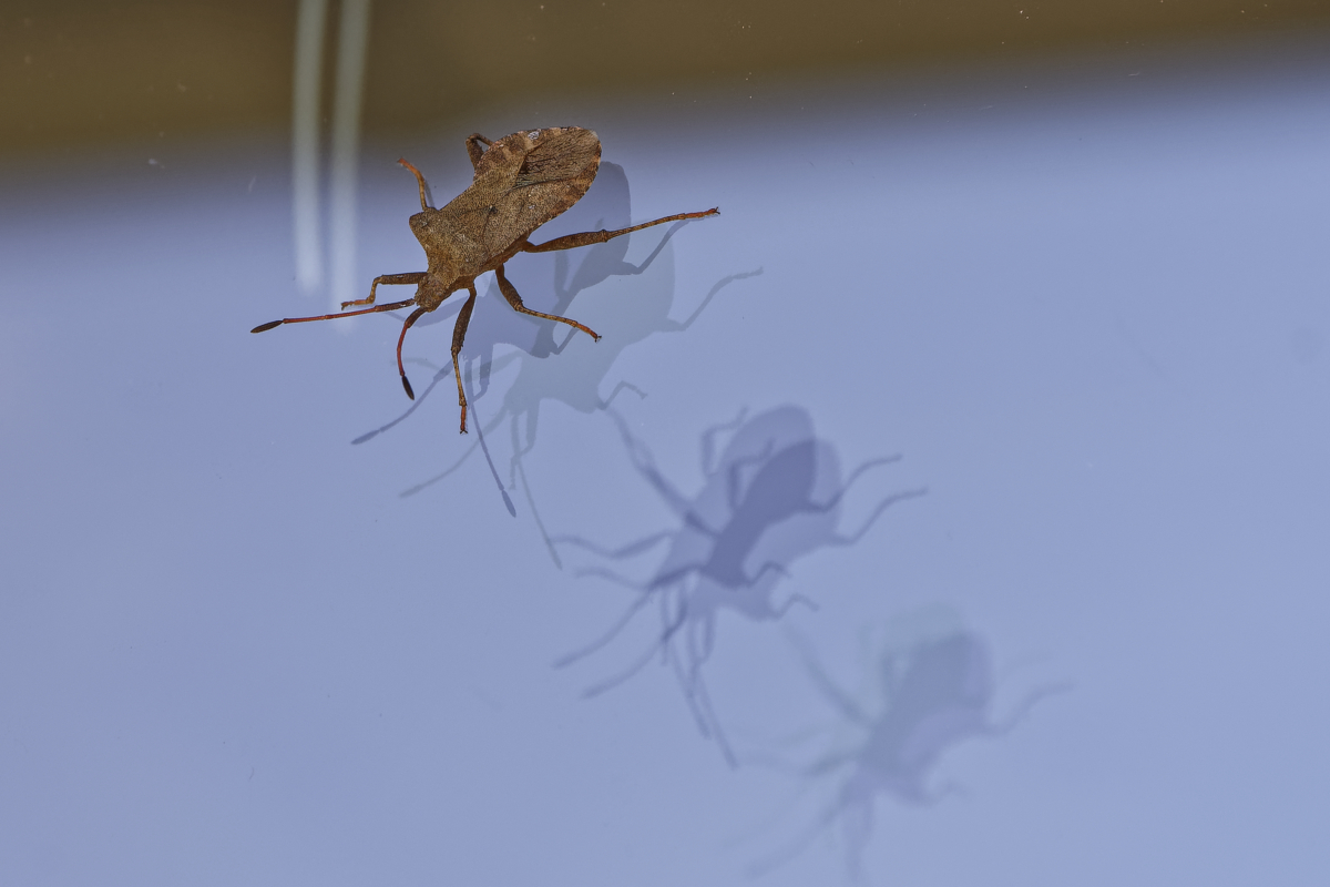 _DSC0590_DxOAxl.jpg