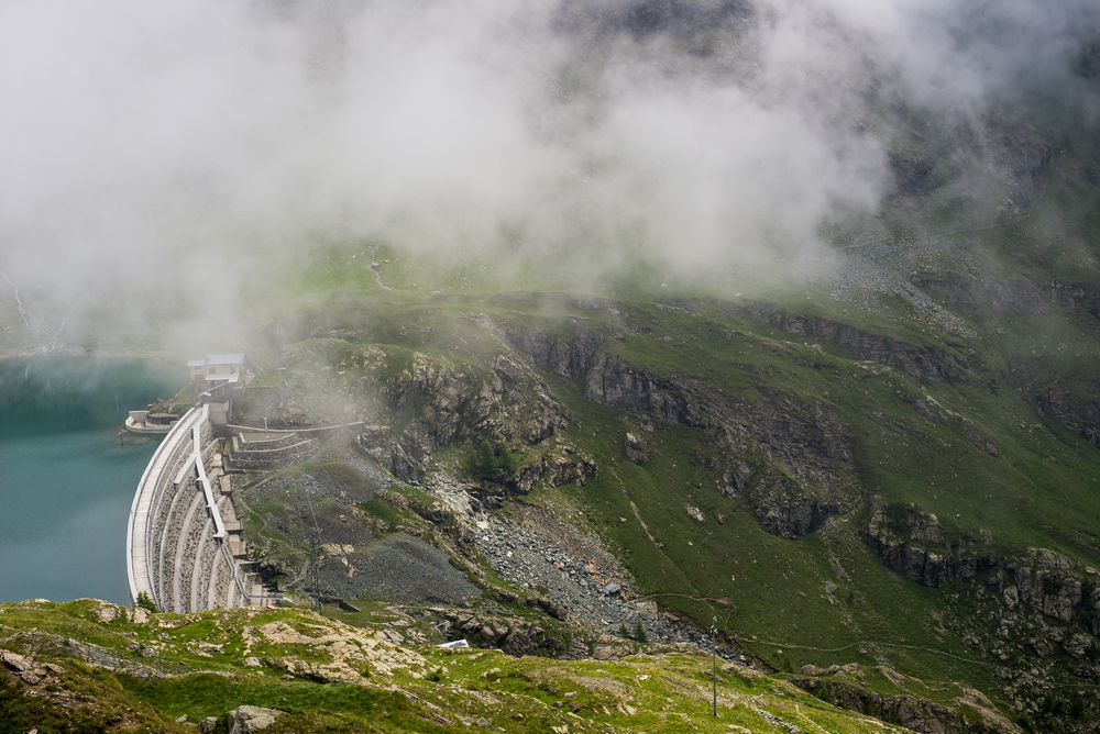 _DSC0703.jpg
