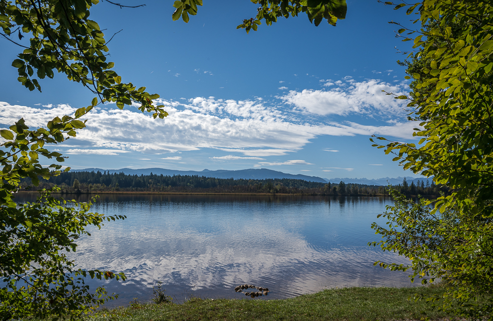_DSC0791.jpg