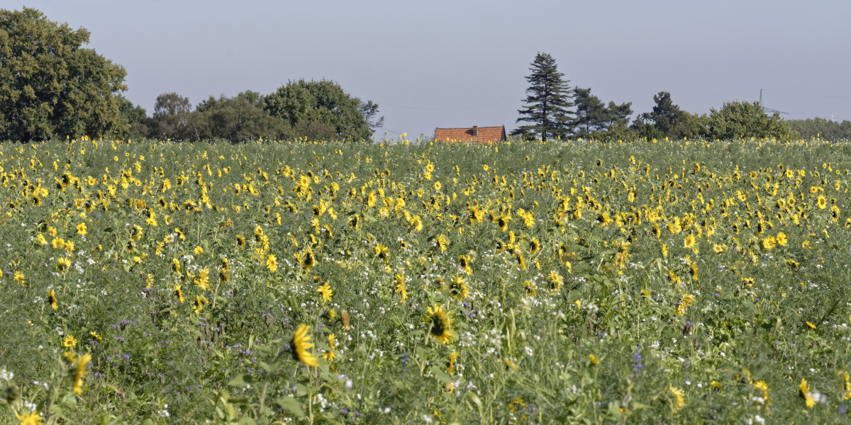 _DSC0902_DxOPxl.jpg