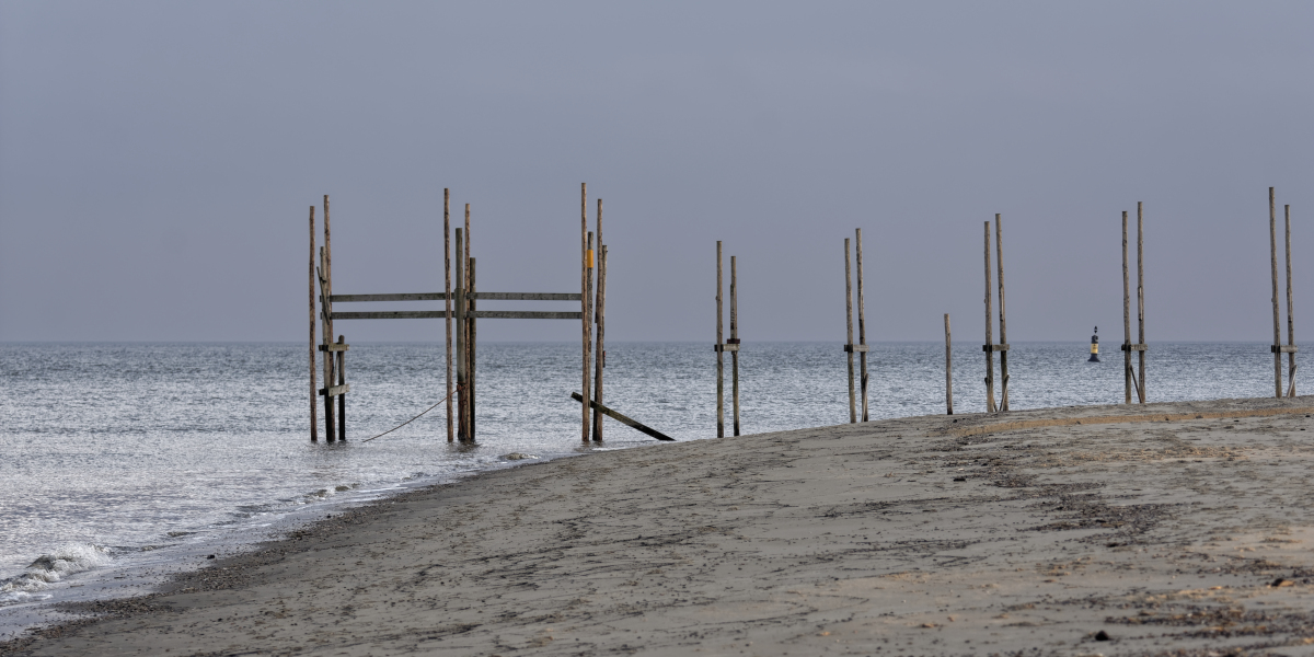 _DSC0996_DxOPxl.jpg