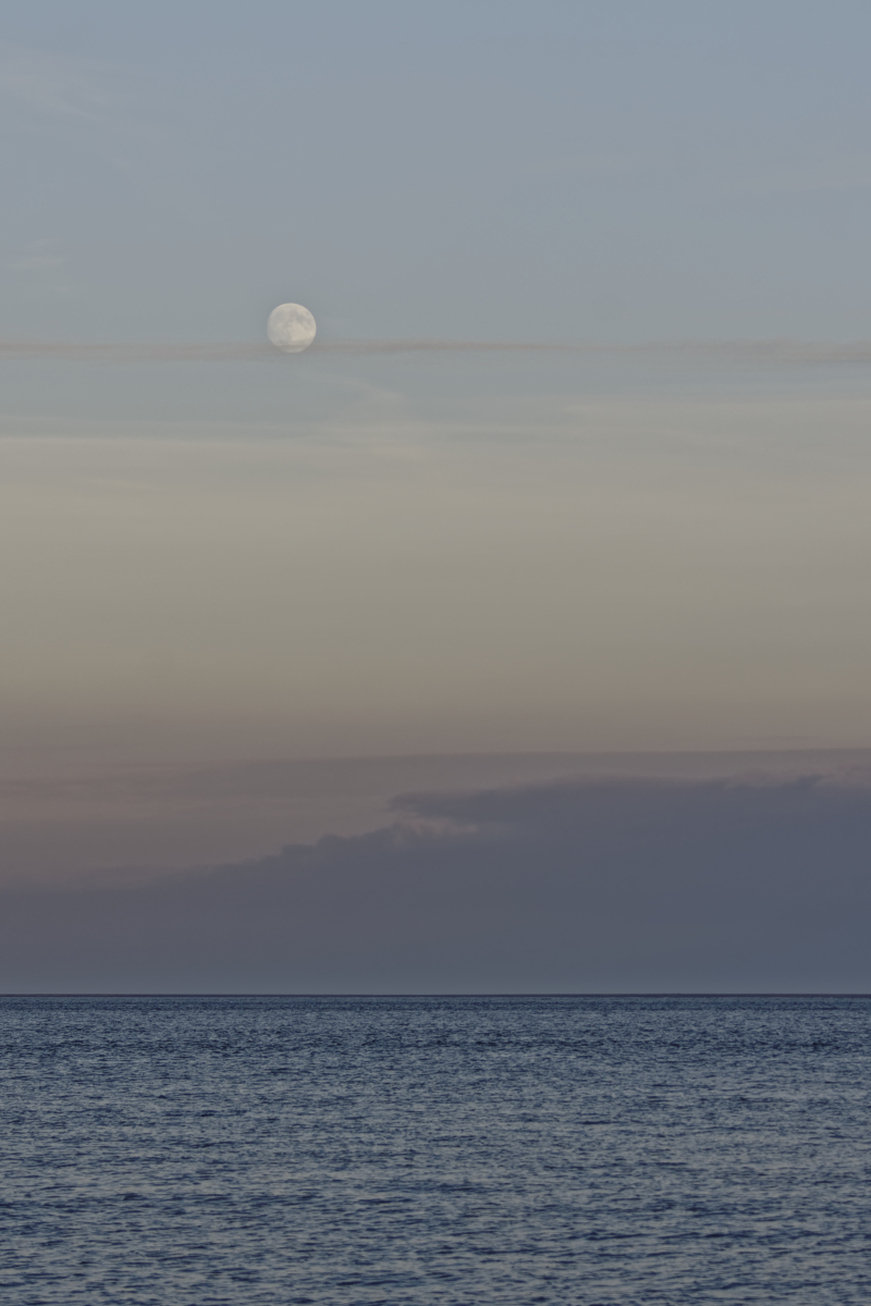 _DSC1019_DxOAxl.jpg