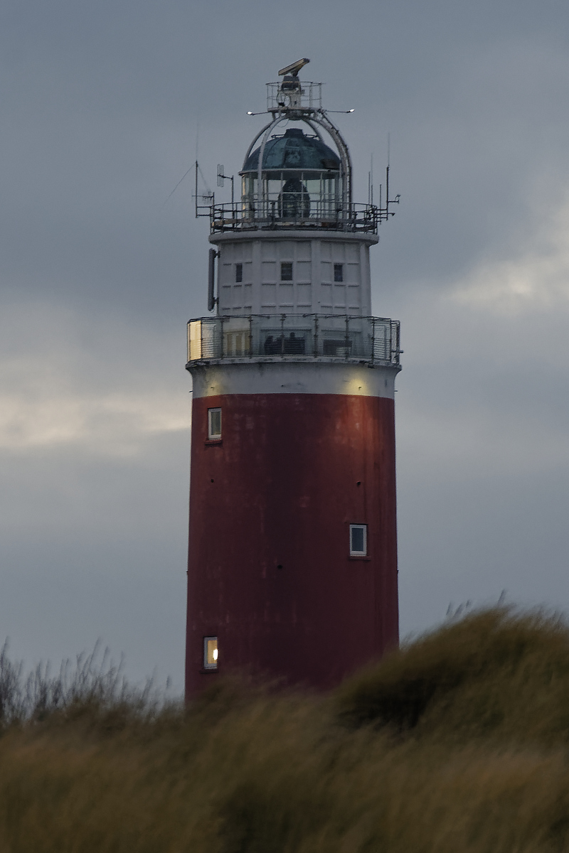 _DSC1027_DxOHAxl_BKS.jpg