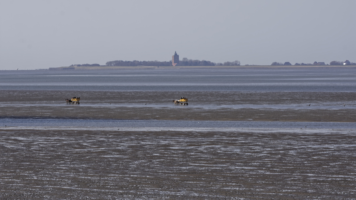 _DSC1060_DxOPA_xl.jpg